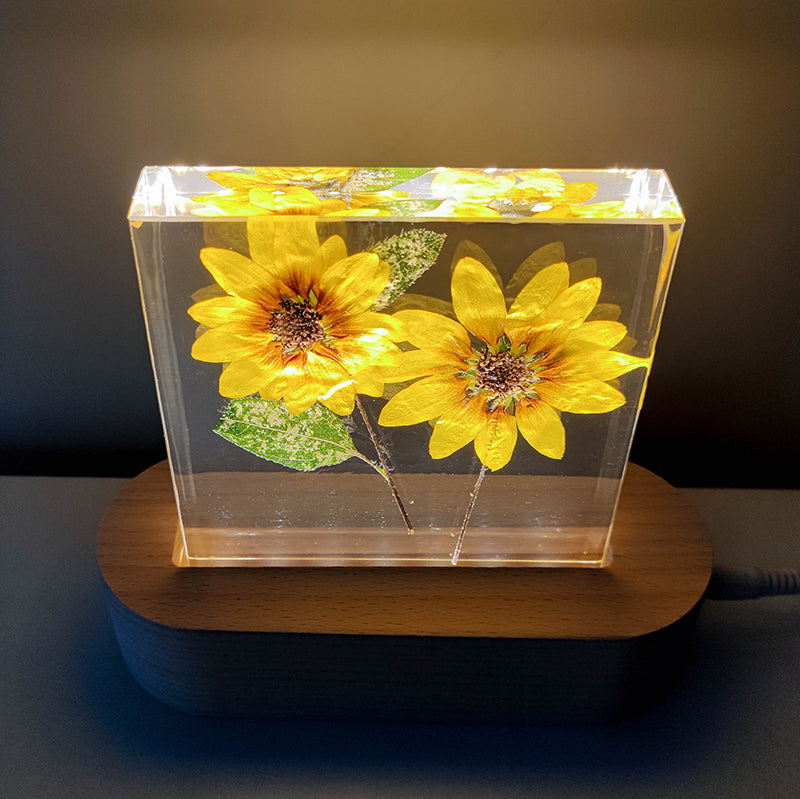 EternalBlooms: Preserved Flower Decorative Resin Plant Specimen Night Lamp