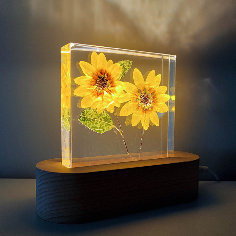 EternalBlooms: Preserved Flower Decorative Resin Plant Specimen Night Lamp